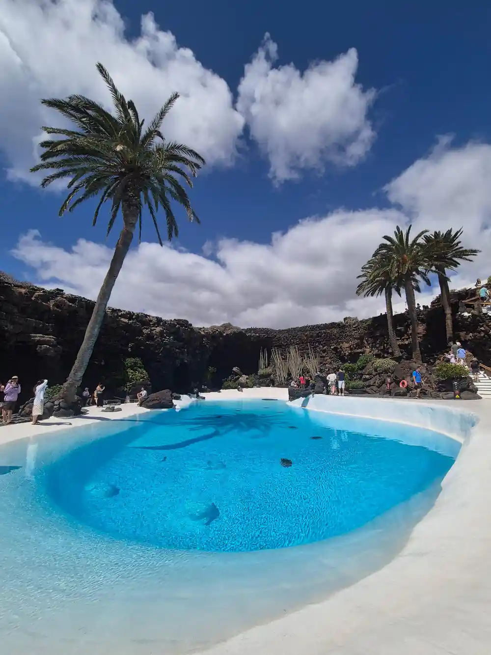 Circular swimming pool with palm trees and cliffside setting