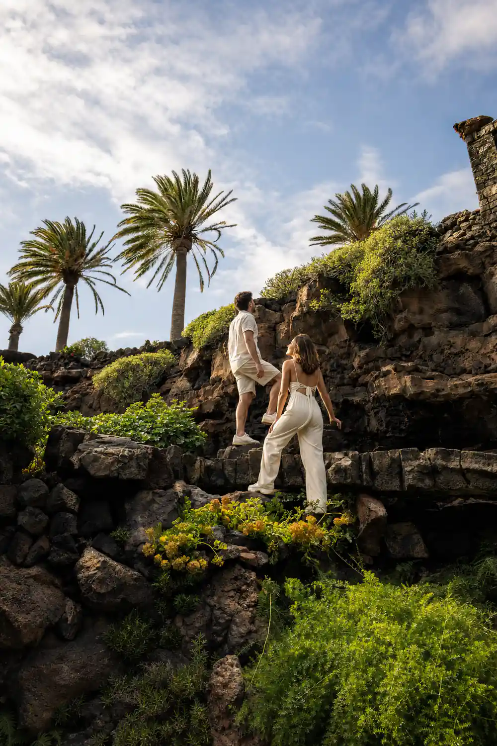 Palm trees and yellow flowers growing among dark lava rock formations