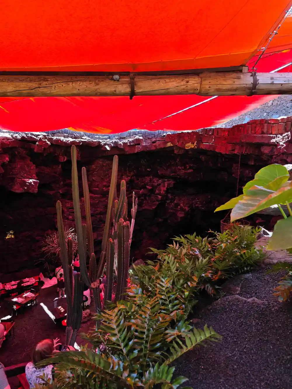Red fabric tent covering tropical garden plants
