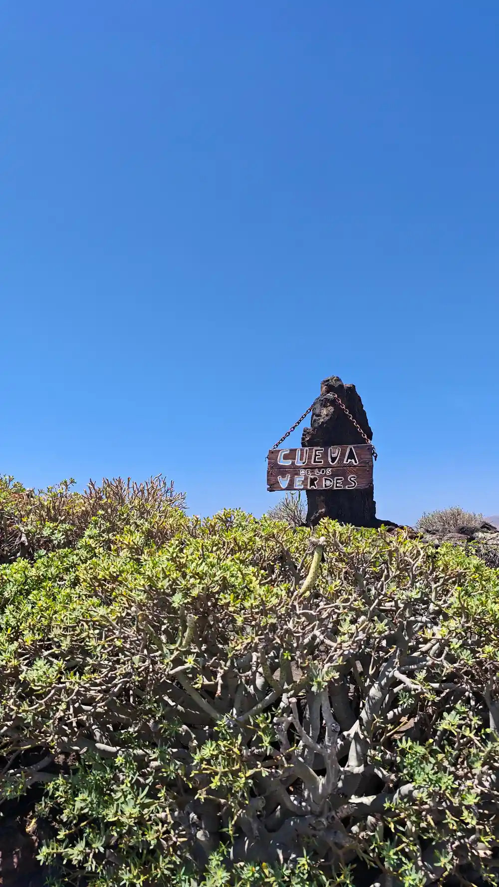 Rock formation with sign among green coastal vegetation and shrubs