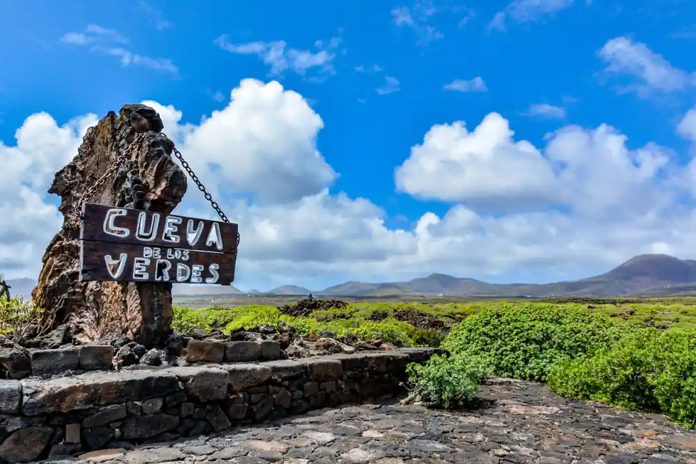 Weathered stone with painted sign among vegetation